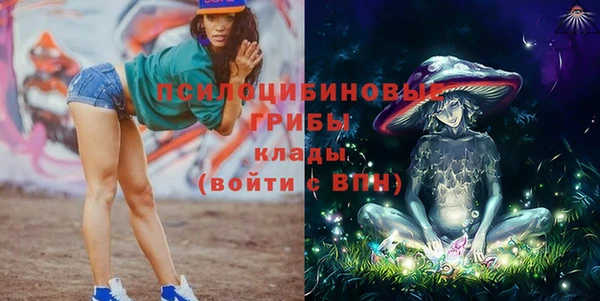 синтетический гашиш Гусь-Хрустальный