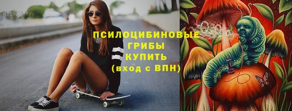 шишки Вязьма