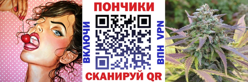 блэк спрут   Добрянка  Канабис ГИДРОПОН  что такое  